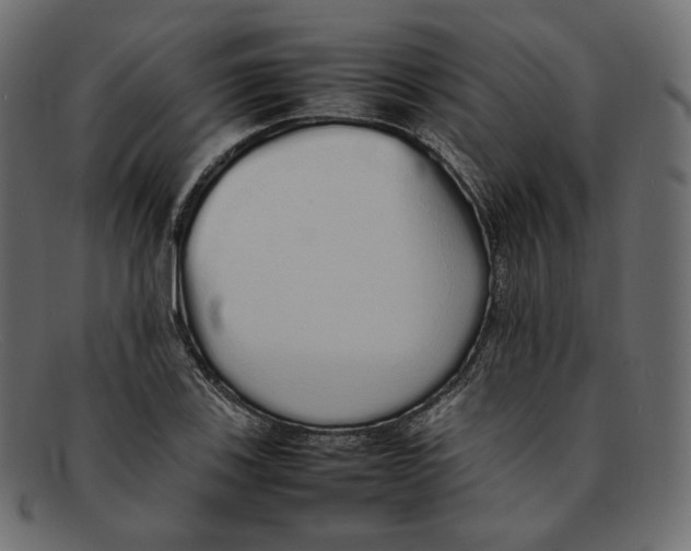 X0000092061123200710101029