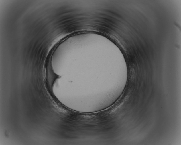 X0000092061125200710101029