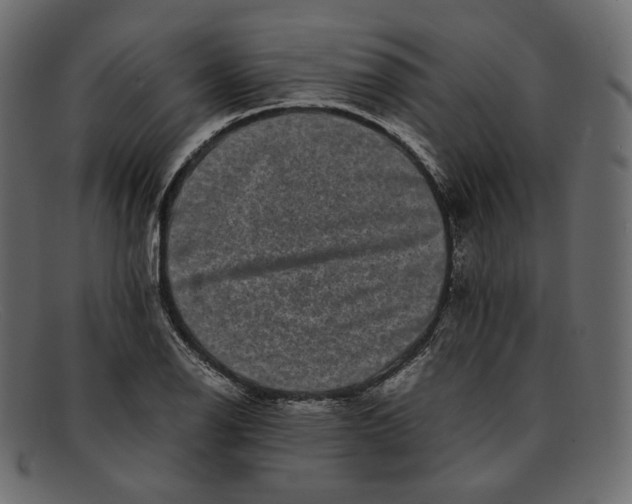 X0000092061126200710101029