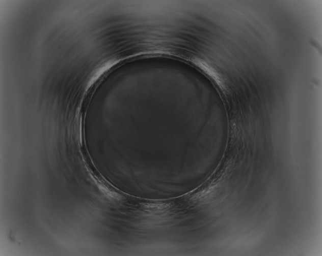 X0000092061127200710101029