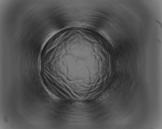 X0000092061128200710101029