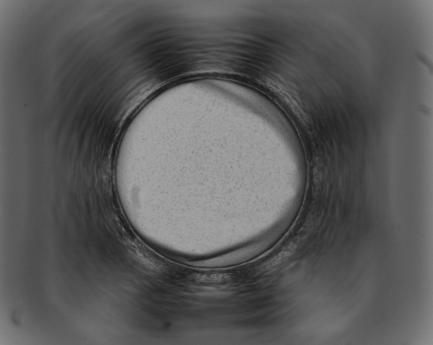 X0000092061129200710101029