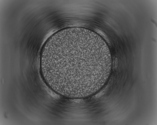 X0000092061130200710101029