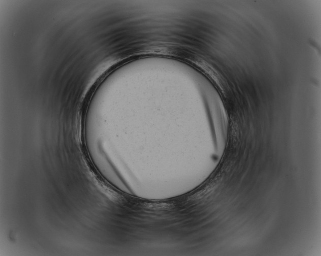 X0000092061131200710101029