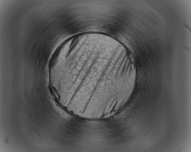 X0000092061132200710101029