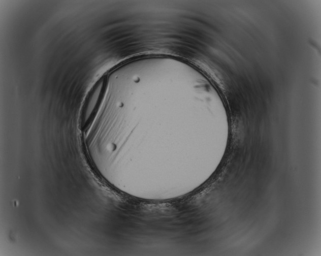 X0000092061133200710101029