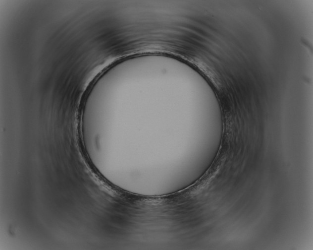 X0000092061134200710101029