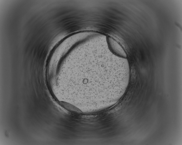 X0000092061135200710101029