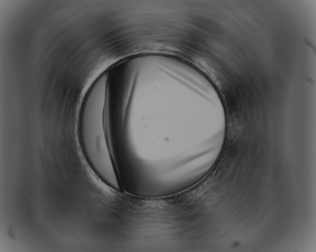 X0000092061136200710101029