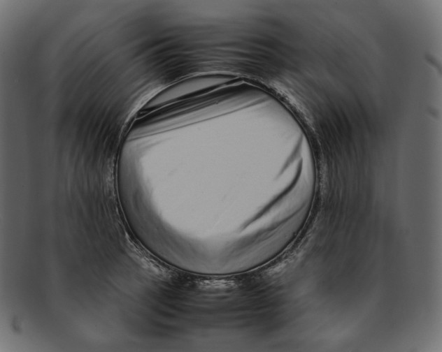 X0000092061137200710101029