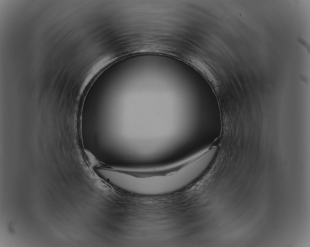 X0000092061138200710101029