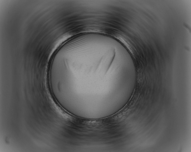 X0000092061139200710101029