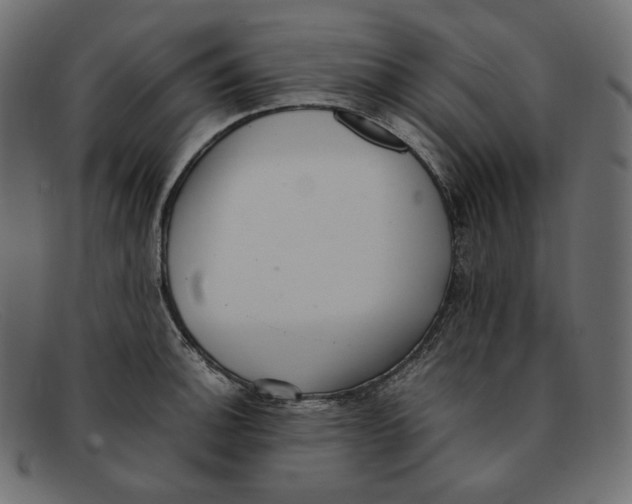 X0000092061140200710101029