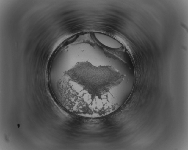 X0000092061141200710101029