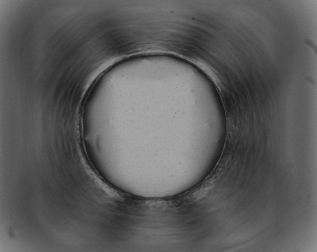 X0000092061142200710101029