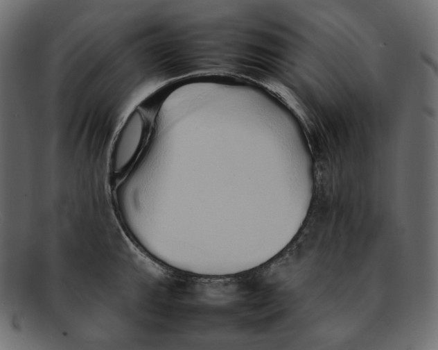 X0000092061143200710101029