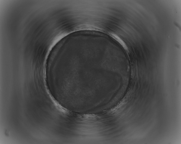 X0000092061144200710101029