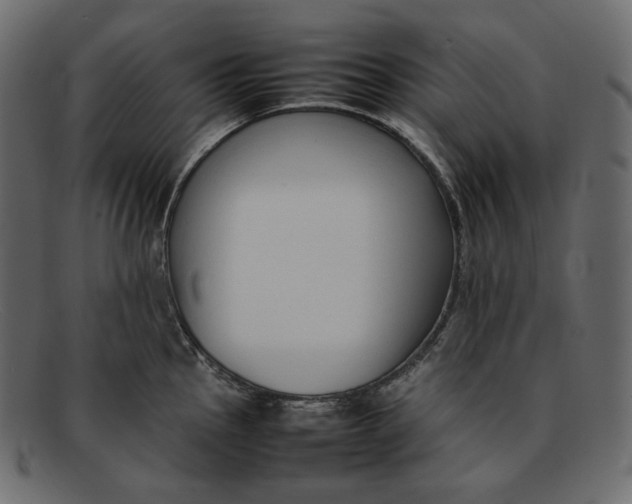 X0000092061145200710101029