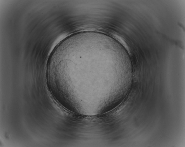 X0000092061146200710101029