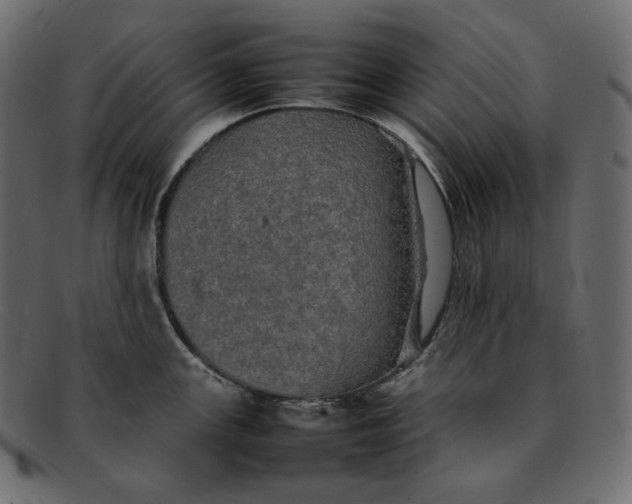 X0000092061147200710101029