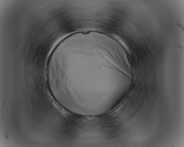 X0000092061148200710101029