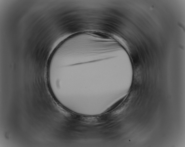 X0000092061149200710101029