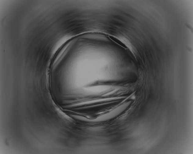 X0000092061151200710101029