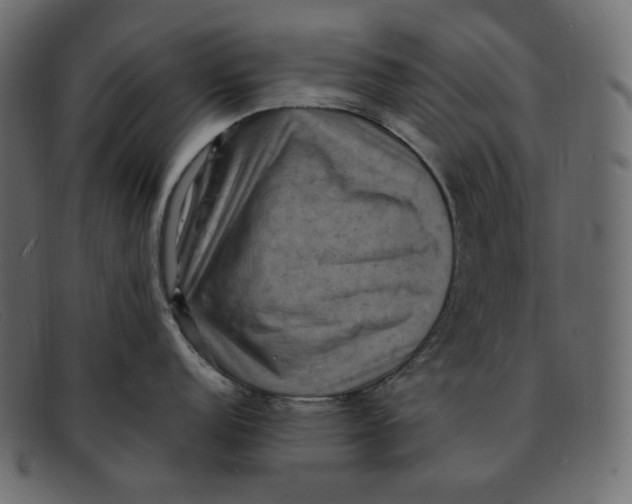 X0000092061152200710101029