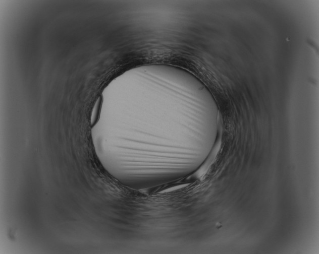 X0000092061153200710101029