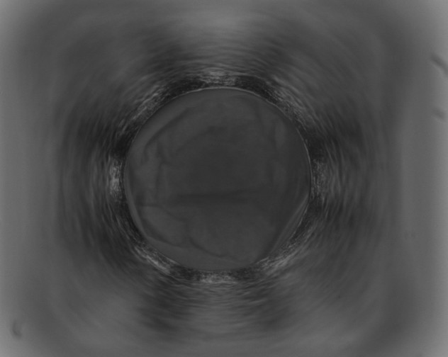 X0000092061154200710101029