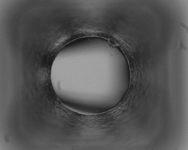 X0000092061157200710101028