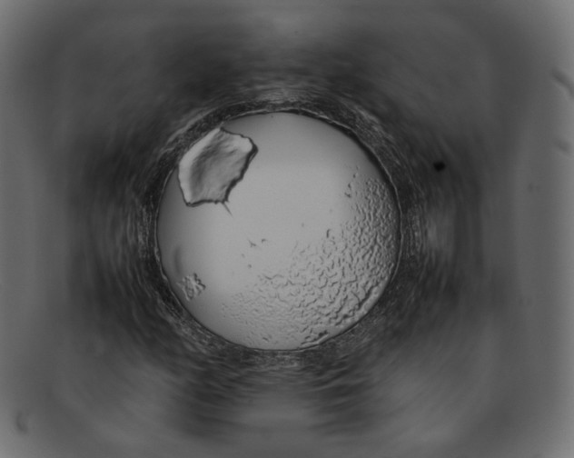 X0000092061158200710101028