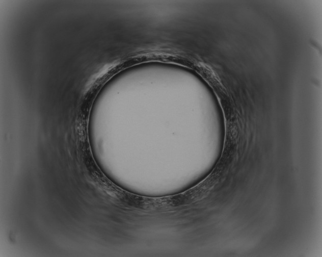 X0000092061159200710101028