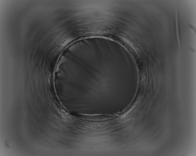 X0000092061161200710101028