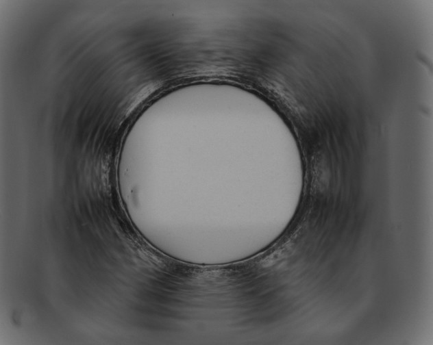 X0000092061162200710101028