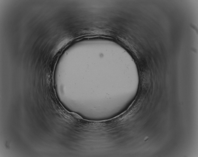 X0000092061163200710101028