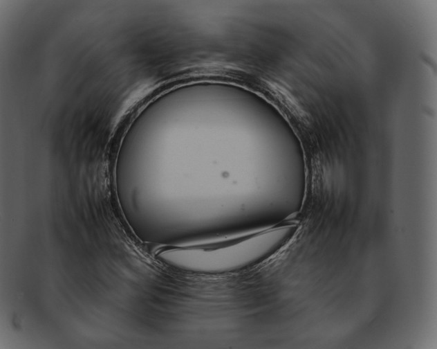 X0000092061164200710101028