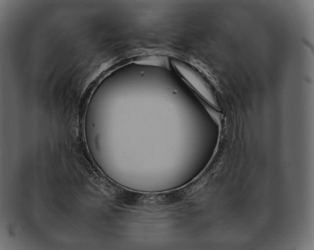 X0000092061165200710101028