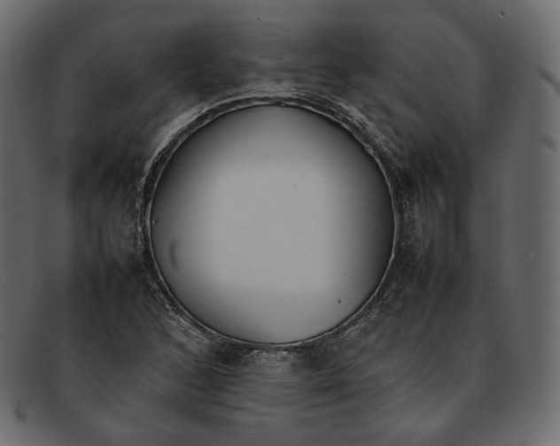 X0000092061168200710101028