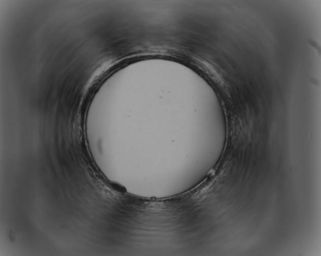 X0000092061172200710101028