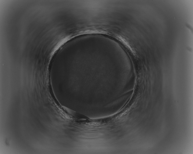 X0000092061173200710101028