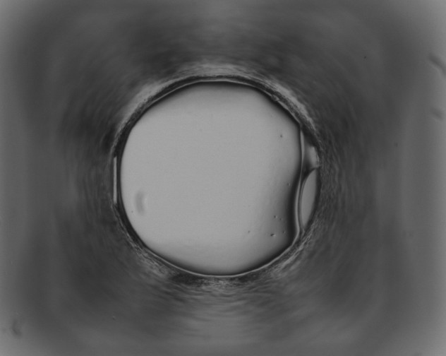 X0000092061175200710101028