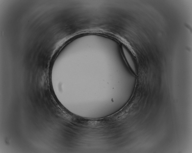 X0000092061176200710101028