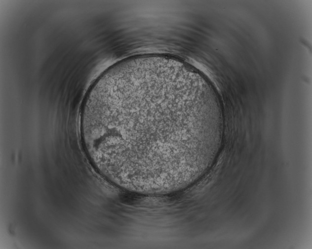 X0000092061179200710101028