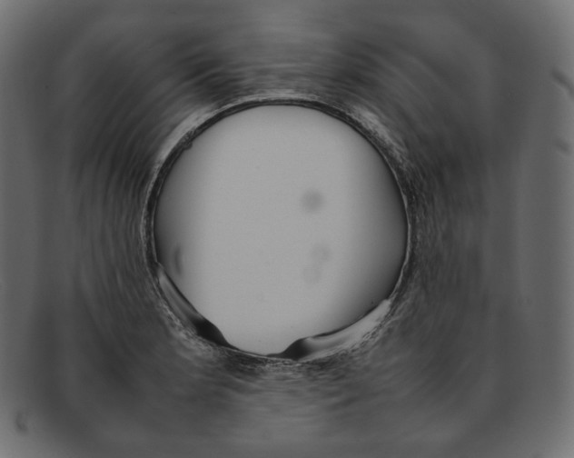 X0000092061181200710101028