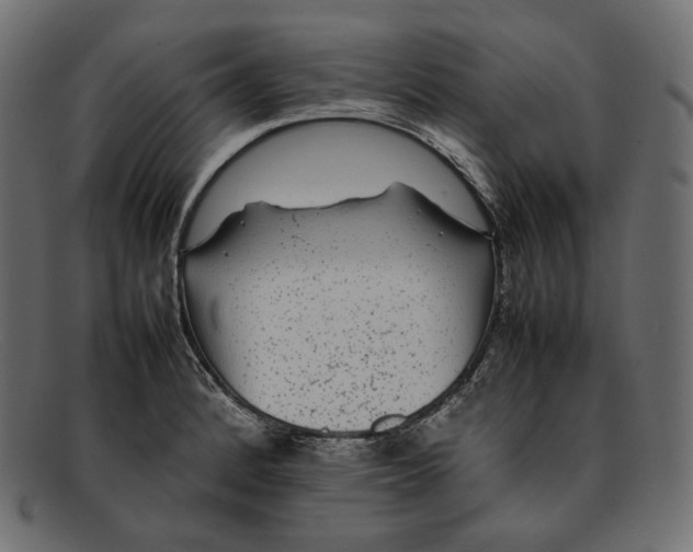 X0000092061184200710101028