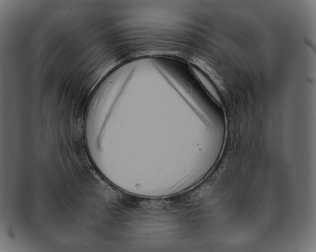 X0000092061185200710101028