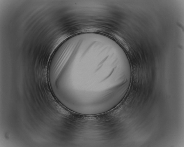 X0000092061186200710101028