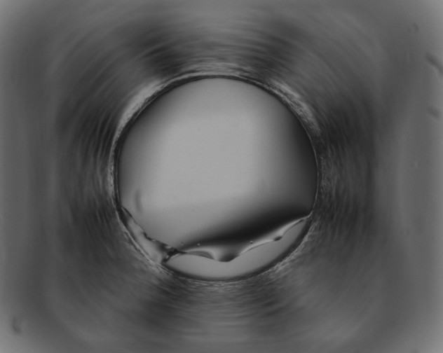 X0000092061188200710101028