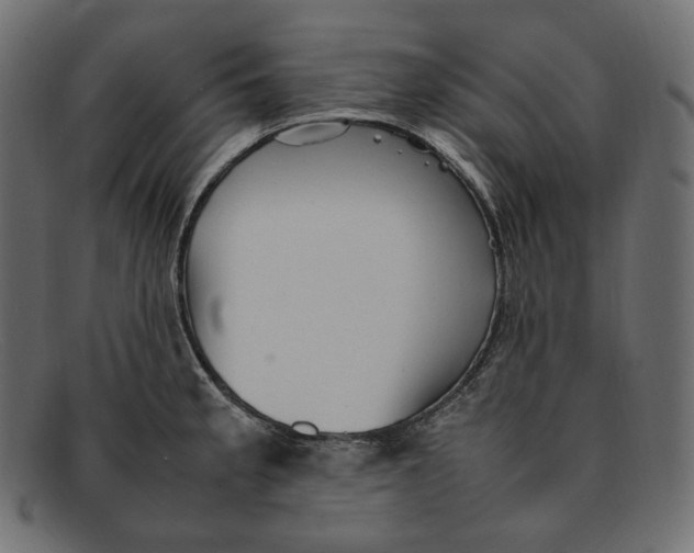 X0000092061189200710101028